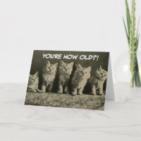 Niedliche Vintage Retro Kittens Happy Birthday