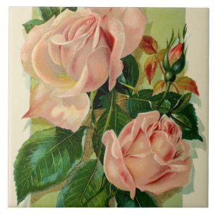niedliche Vintage Rose Dekoration Fliese