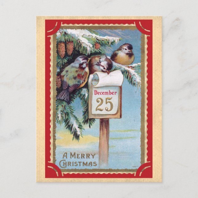 Niedliche Vintage Vögel Frohe Weihnachten Postkarte (Vorderseite)