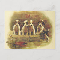 Niedliche Vintage Welpen Postkarte