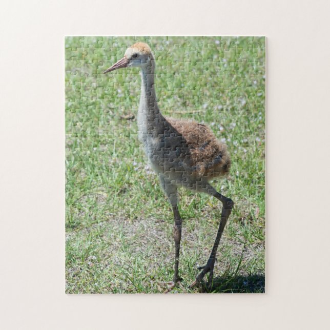 Niedliche Vogelwelt Florida Puzzle (Vertikal)