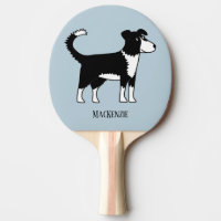 Niedliche walisische Border Collie Dog