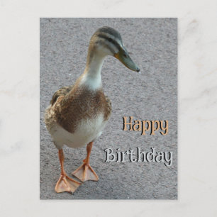 Niedliche Walking Duck Cust. Happy Birthday Postca Postkarte