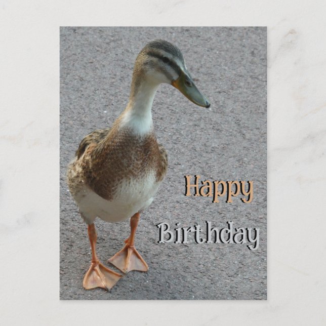 Niedliche Walking Duck Cust. Happy Birthday Postca Postkarte (Vorderseite)