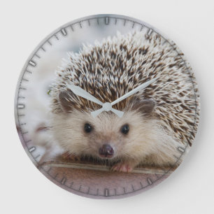 Niedliche Wanduhr für den Igel