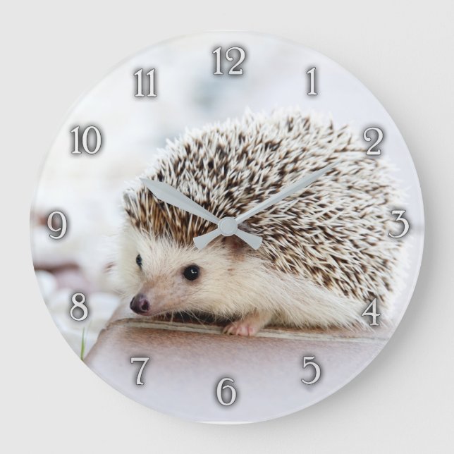 Niedliche Wanduhr für den Igel (Vorderseite)