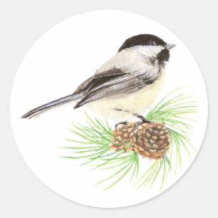 Niedliche Wasserfarbe Chickadee Bird Pine Tree Runder Aufkleber