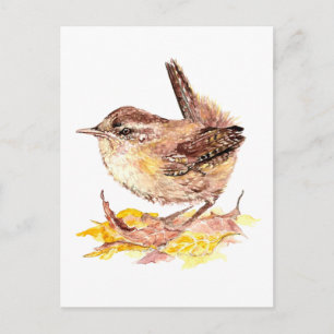 Niedliche Wasserfarben-Wren-Vogel, Natur, Wildtier Postkarte