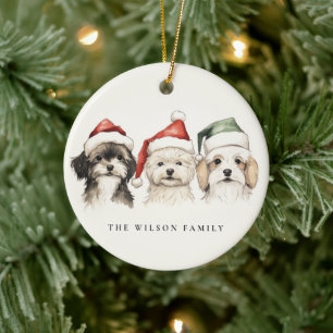 Niedliche Wasserfarbenfrohe Frösche und helle Weih Keramik Ornament