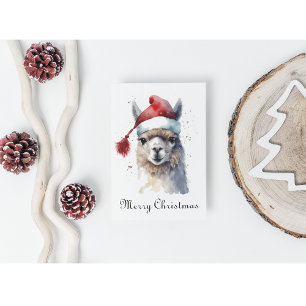 Niedliche Weihnachten Alpaca, Brauch