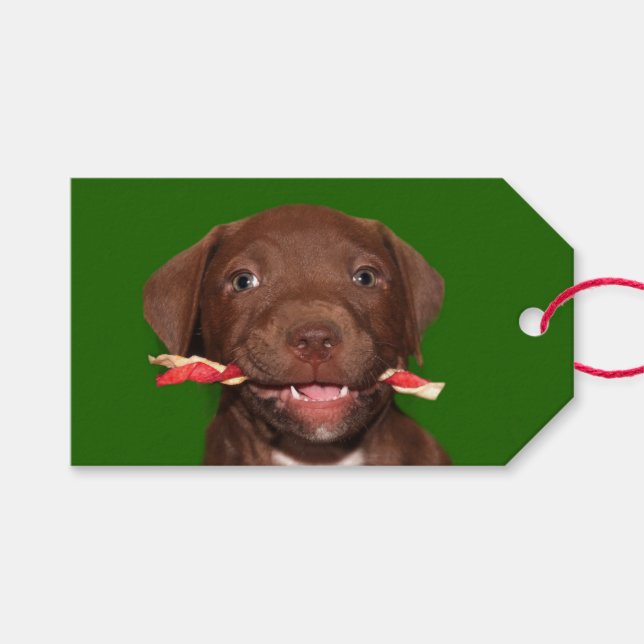 Niedliche Weihnachten Geschenkanhänger (Vorderseite (Horizontal))