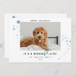 Niedliche Weihnachten ist ein WonderFUR Life Pet F