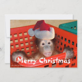 Niedliche Weihnachts-Weihnachtsfotokarte Einladung