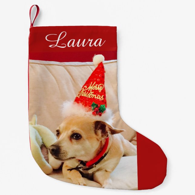 Niedliche Weihnachtsfeier Chihuahua Dog 4Laura Kleiner Weihnachtsstrumpf (Vorderseite)
