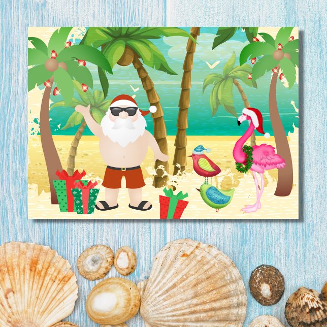 Niedliche Weihnachtsfeiertage und tropische Vögel Feiertagskarte (Front - Cute Santa and Tropical Birds Beach Christmas Holiday Card)