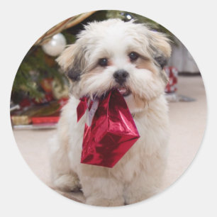 Niedliche Weihnachtshundekleber Runder Aufkleber