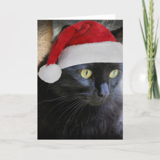 Niedliche Weihnachtskarte, Hübsche Schwarze Katze Feiertagskarte