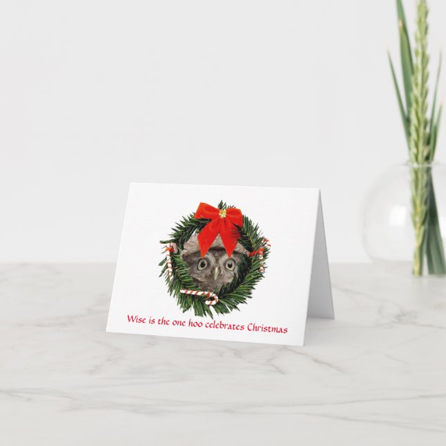 Niedliche Weihnachtskarte mit Eule Feiertagskarte (Vorderseite)