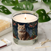 Niedliche Weihnachtskätzchen im Winter