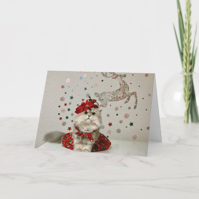 Niedliche Weihnachtskatze Karte (Vorderseite)