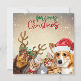 Niedliche Weihnachtskatzen und Hunde Funny Animals Feiertagskarte
