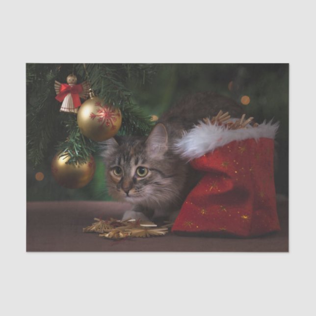 Niedliche Weihnachtskatzkatze Seidenpapier (Vorderseite)