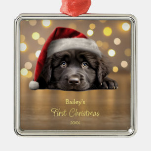 Niedliche Weihnachtsmannmütze für Hunde in Neufund Ornament Aus Metall