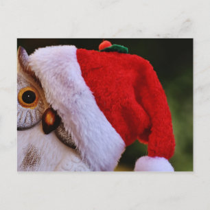 Niedliche Weihnachtsschale, Frohe Weihnachtsschale Feiertagspostkarte