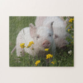 Niedliche weiße Ferkel in den gelben Blumen - Puzzle