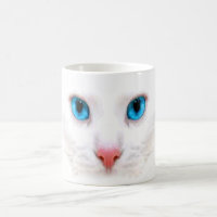niedliche weiße Katze, lustige Tasse
