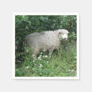 Niedliche, weiße Schafe, die Napkins essen Serviette