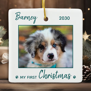 Niedliche Welpe - Grüner Hund Foto Keramikornament