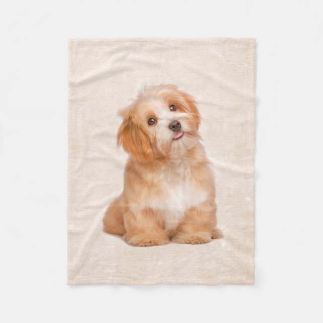 Niedliche Welpe Havanese Welpen-Fleece-Decke Fleecedecke (Vorderseite)