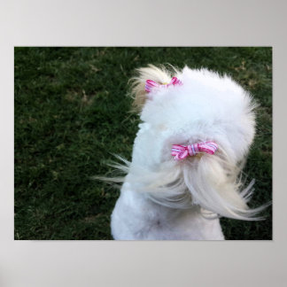 Niedliche Welpe mit Bändern Poster