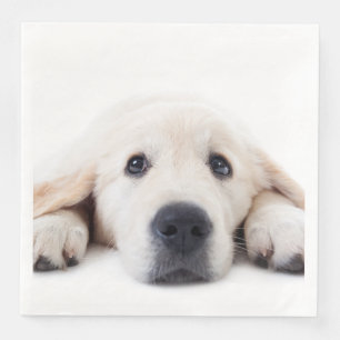 niedliche Welpe mit Goldener Retriege Serviette