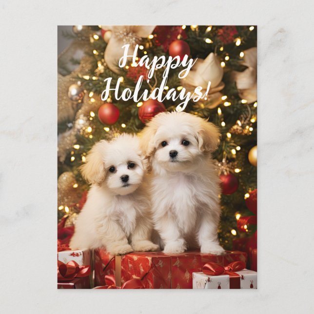 Niedliche Welpen Hunde Happy Holidays Weihnachten Postkarte (Vorderseite)