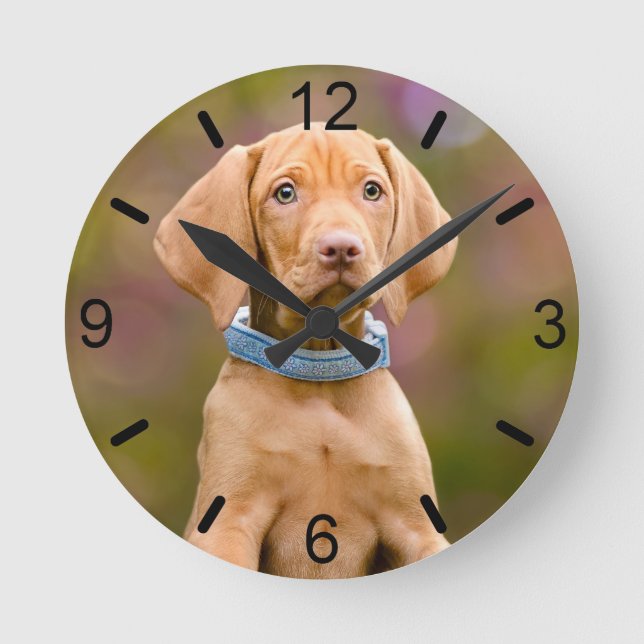 Niedliche Welpen ungarisch Vizsla Dog Welpe Foto - Runde Wanduhr (Vorderseite)