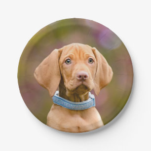 Niedliche Welpen ungarisch Vizsla Dog Welppy Foto Pappteller