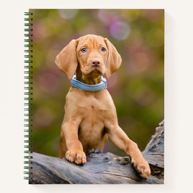 Niedliche Welpen ungarische Vizsla Hund Welpe Foto Notizbuch (Vorderseite)