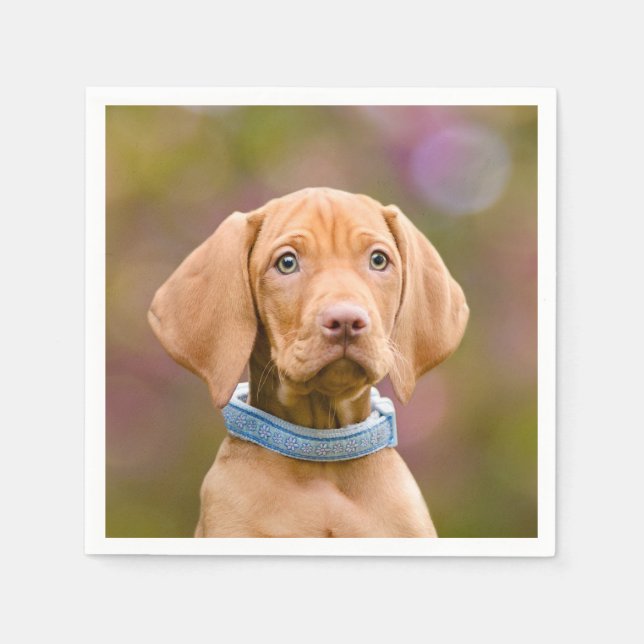 Niedliche Welpen ungarische Vizsla Hund Welpe Foto Serviette (Vorderseite)