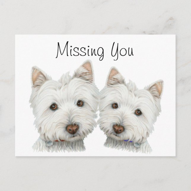 Niedliche Westie Hunde Postkarte (Vorderseite)