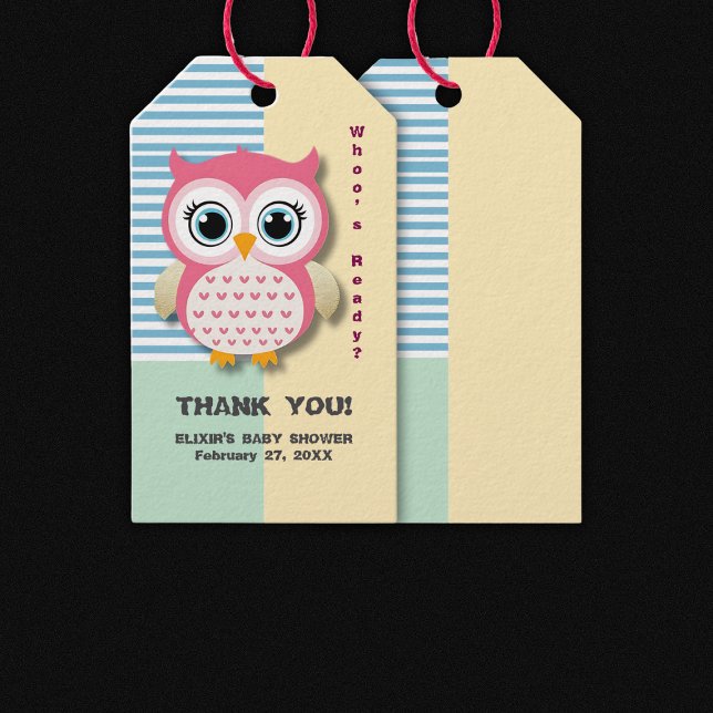Niedliche Whimsical Pink Owl Babydusche Geschenkanhänger (Von Creator hochgeladen)