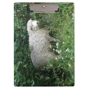 Niedliche White Fluffe Sheep Eating Clipboard Klemmbrett