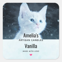 Niedliche White Kitten mit Hübschem Blue Eyes Cand