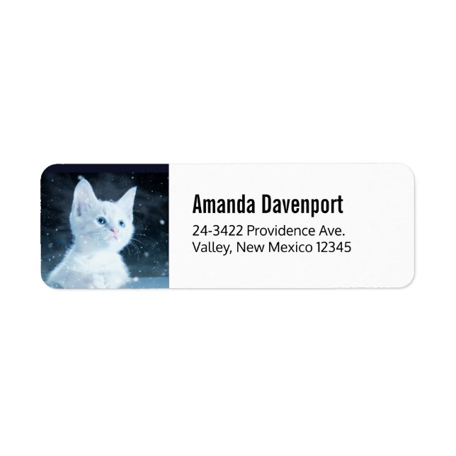 Niedliche White Kitten mit Hübschen Blue Eyes (Vorne)