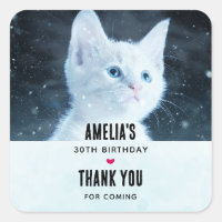 Niedliche White Kitten mit Hübschen Blue Eyes Gebu