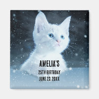 Niedliche White Kitten mit Hübschen Blue Eyes