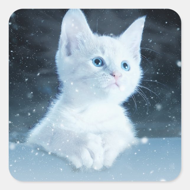 Niedliche White Kitten mit Hübschen Blue Eyes Quadratischer Aufkleber (Vorderseite)