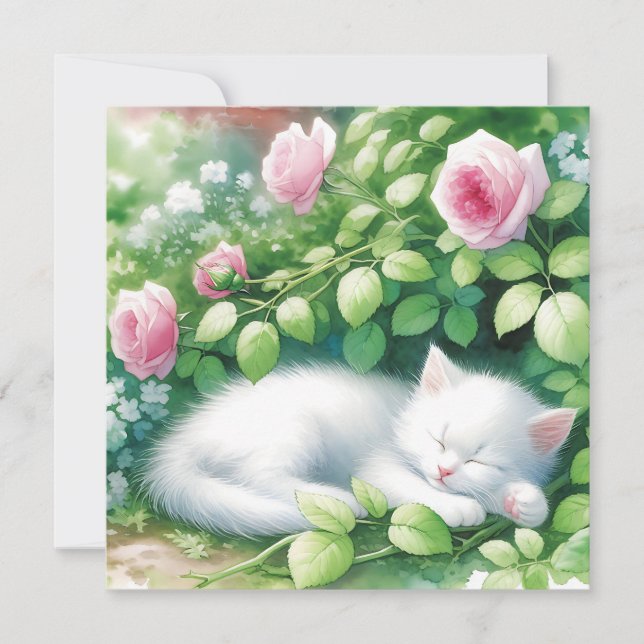 Niedliche White Kitten Napping unter Rosebush (Vorderseite)