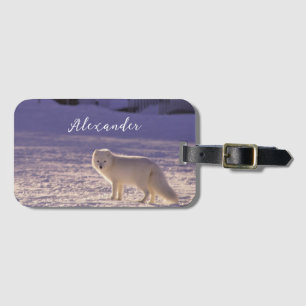 Niedliche Winterfotografie des Schneefräses Gepäckanhänger